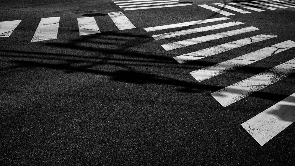 crossing.japan