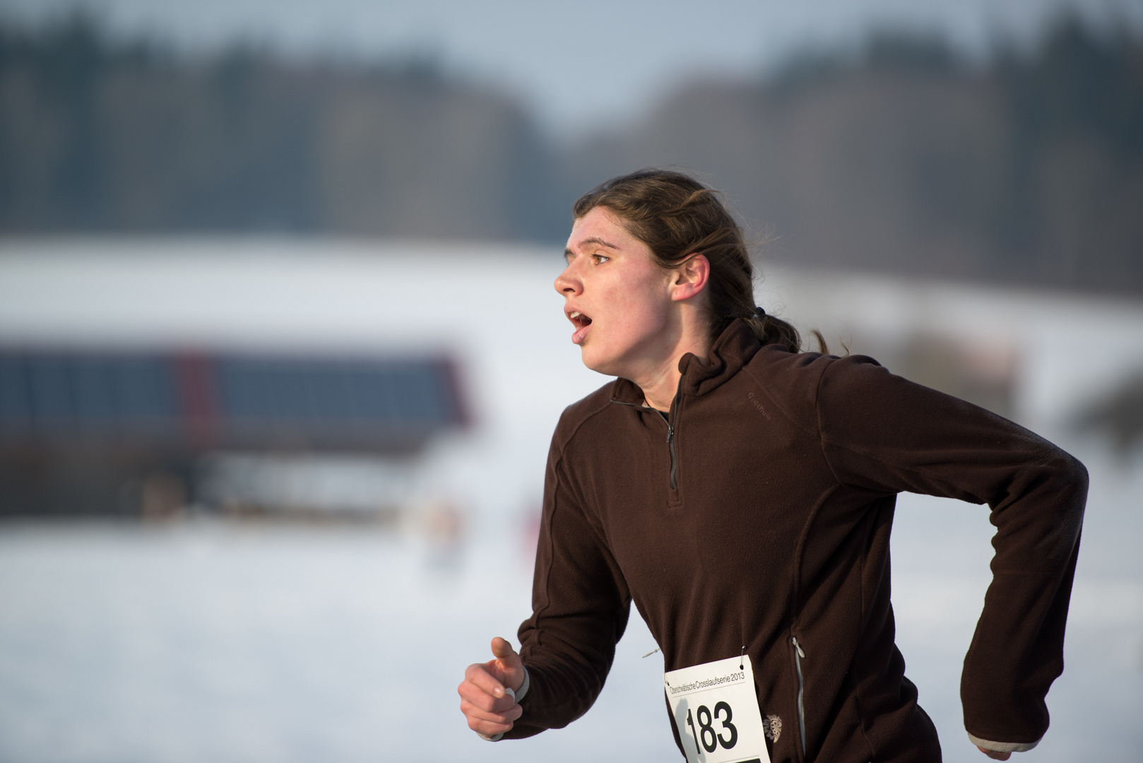 Crosslauf Birkenhard 2013