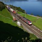 Crossrail bei Immensee