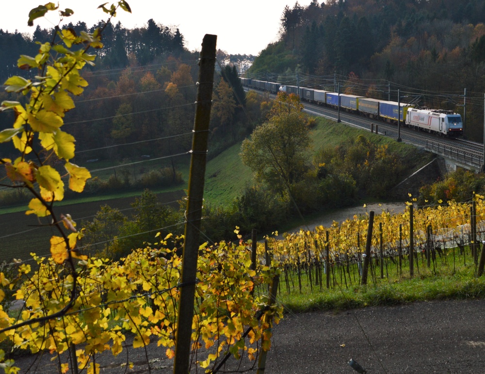 Crossrail in den Reben