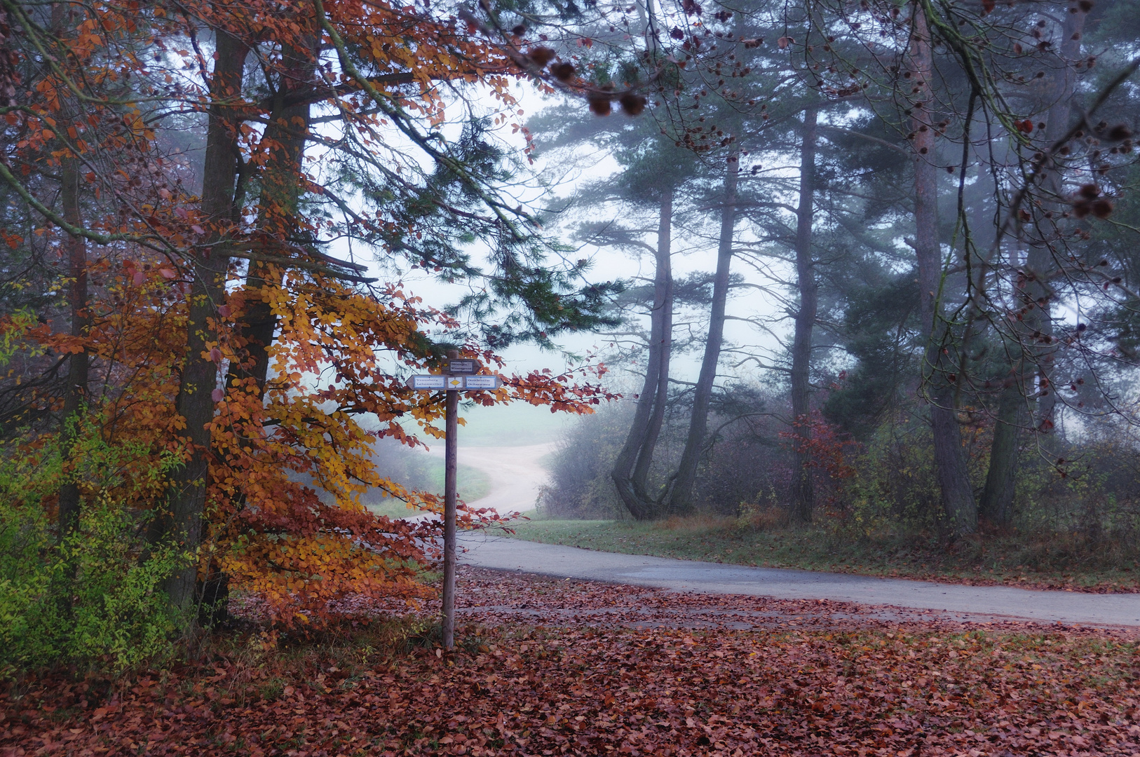 crossways in fog (II)