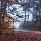 crossways in fog (II)