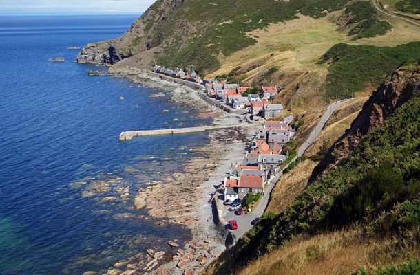 Crovie