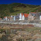 Crovie...