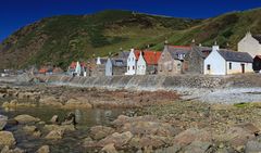 Crovie...