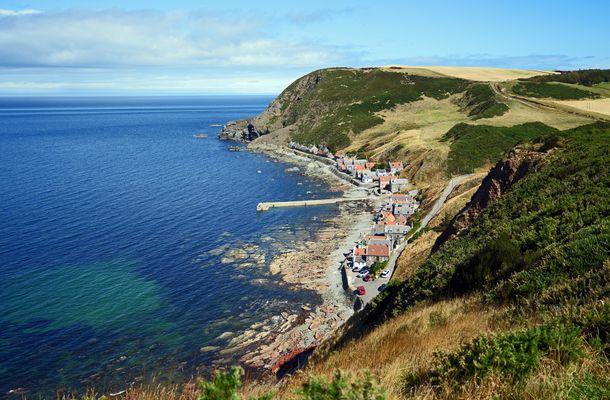Crovie