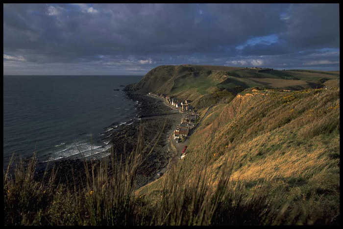 Crovie