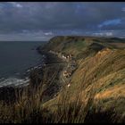 Crovie