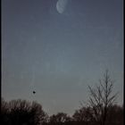 Crow and the moon