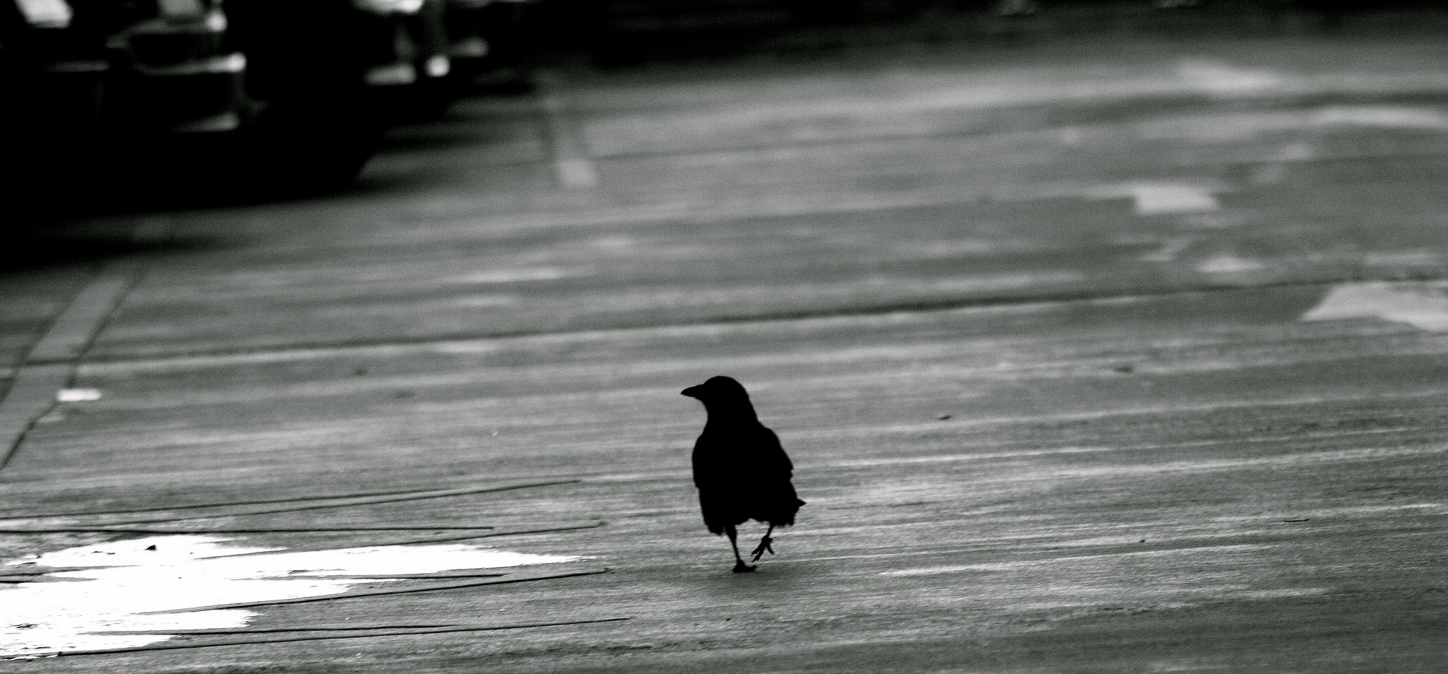 crow-walk