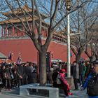 Crowd of tourists enter the Forbidden City