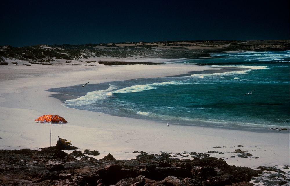 Crowded Beach