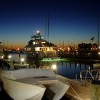 Crowded Marina at Newport, RI