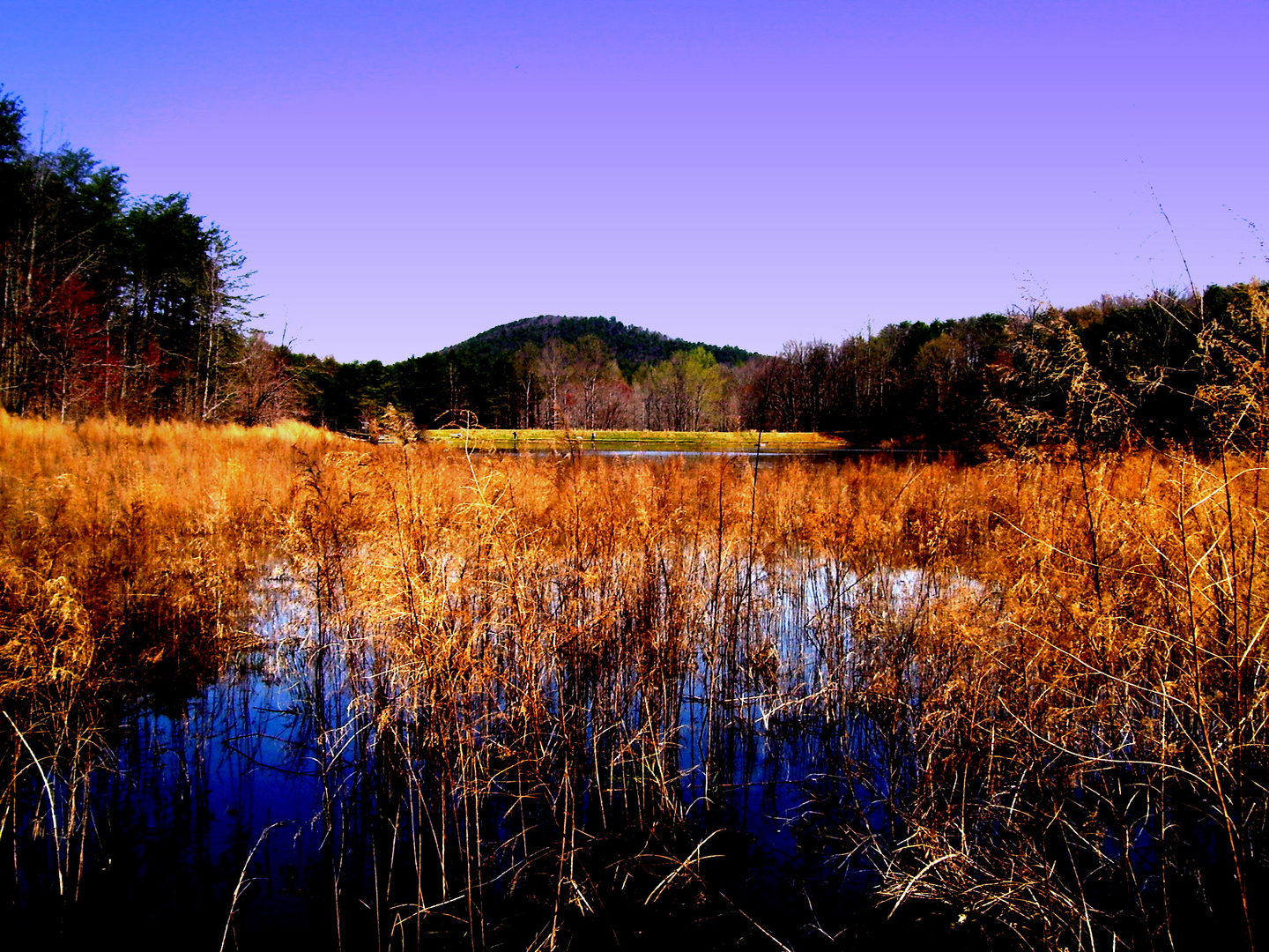 crowders lake