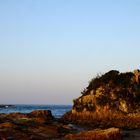 crowdy bay NP (1)