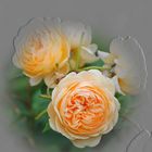 Crown Princess Margareta