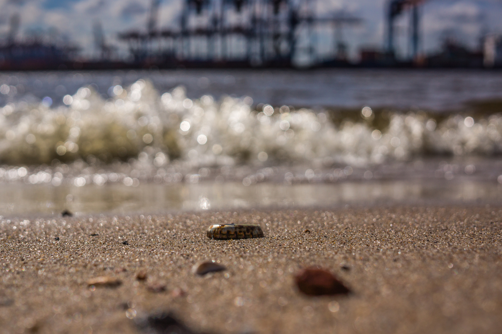 Crowncap on the beach