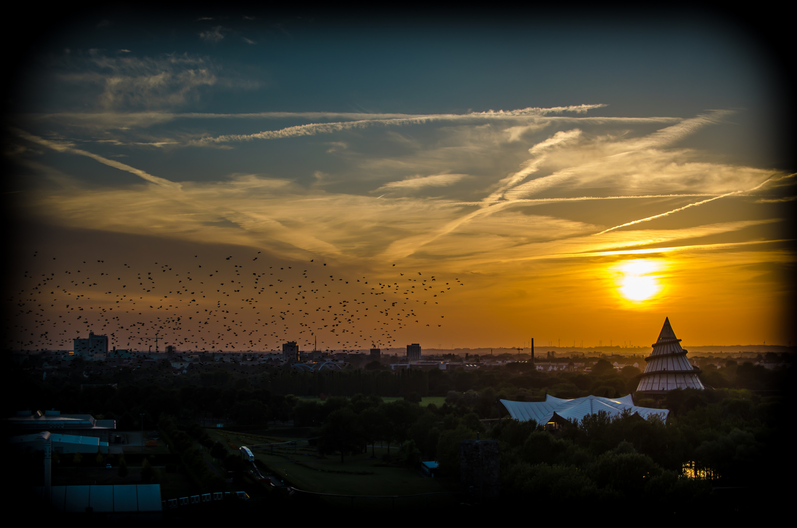 crows and sunset :Ö: II