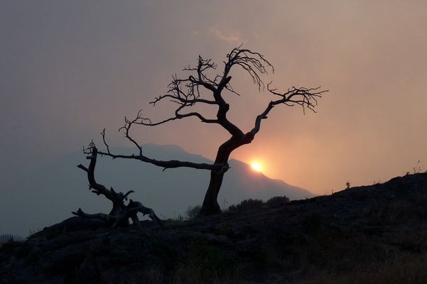 Crowsnest Pass, Alberta
