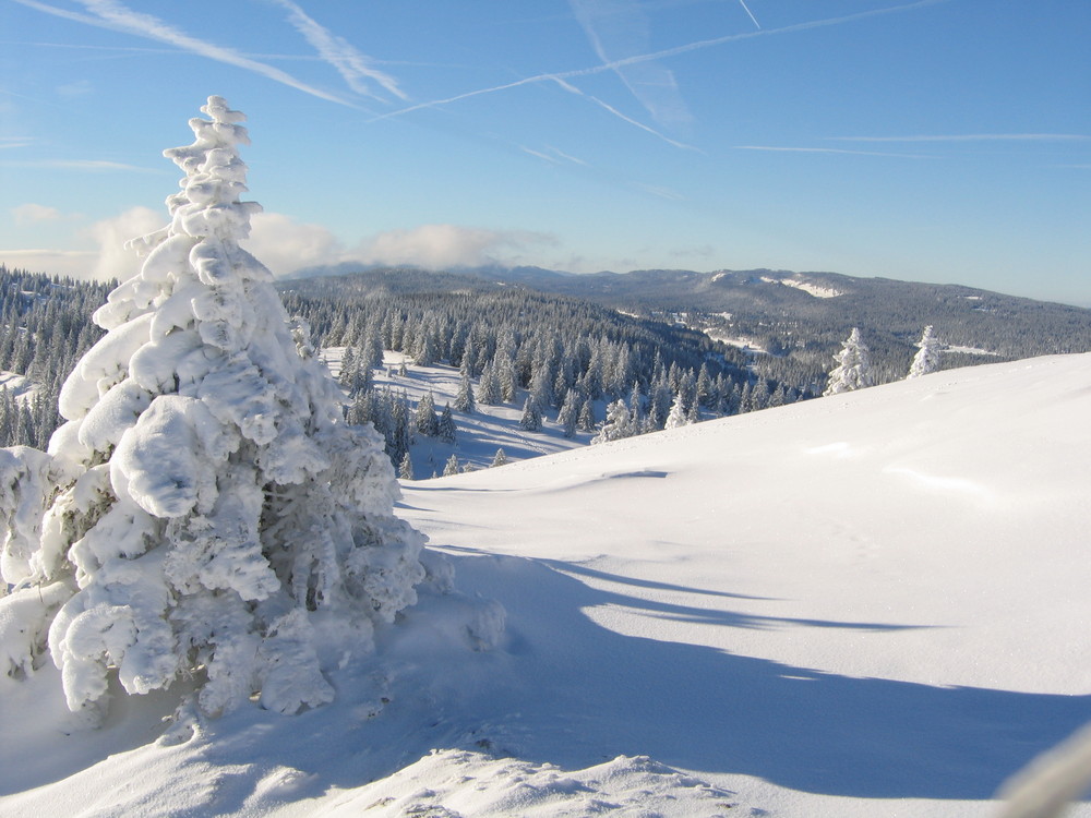 Crêtes du Jura Vaudois