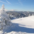 Crêtes du Jura Vaudois