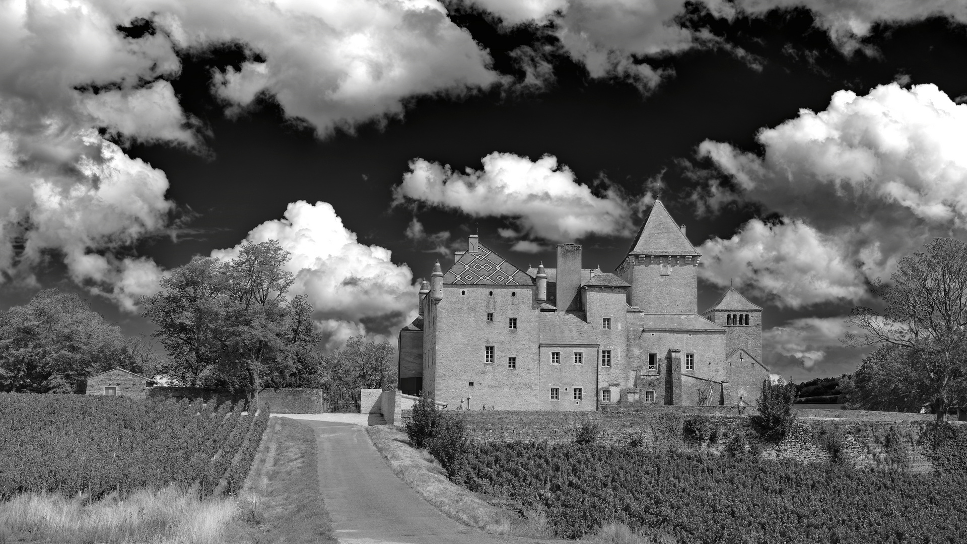 Cru de Bourgogne.