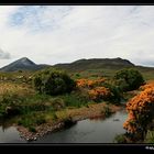 Cruach Phádraig - Blick auf den Croagh Patrick, Irland County Mayo