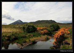 Cruach Phádraig - Blick auf den Croagh Patrick, Irland County Mayo