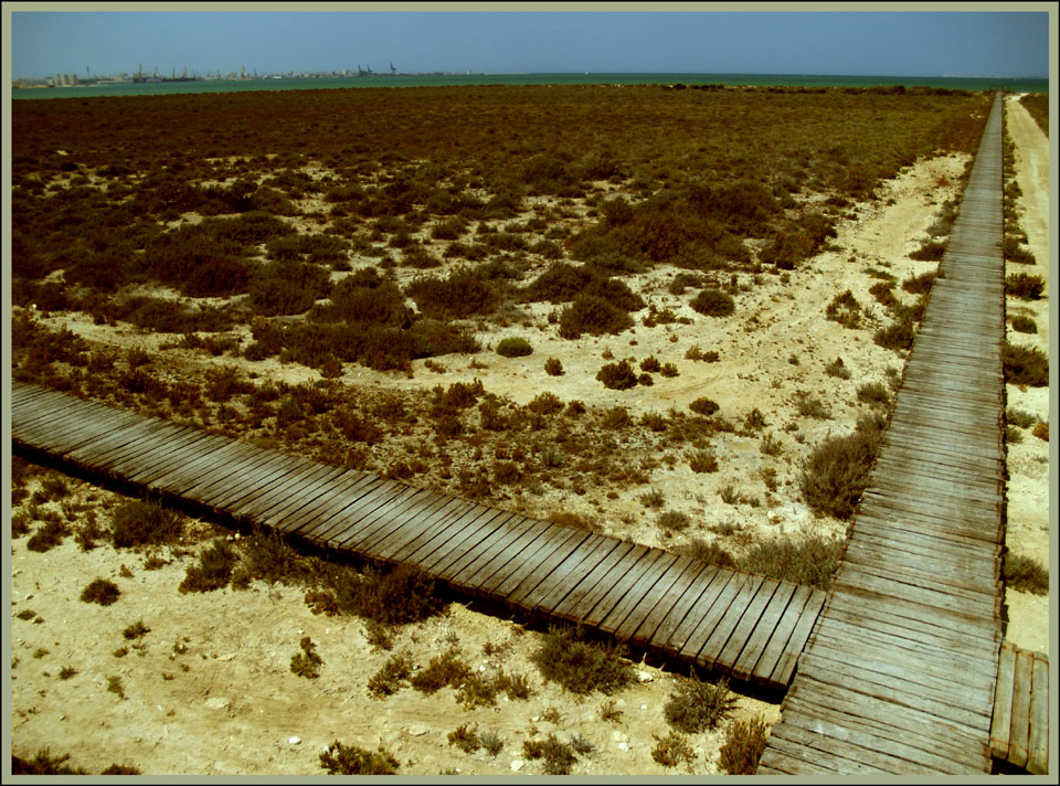 Cruce de caminos