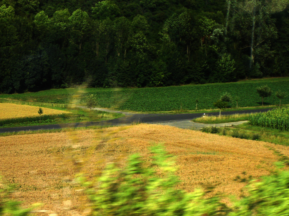 cruce de caminos