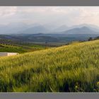 Cruce Peal de Becerro