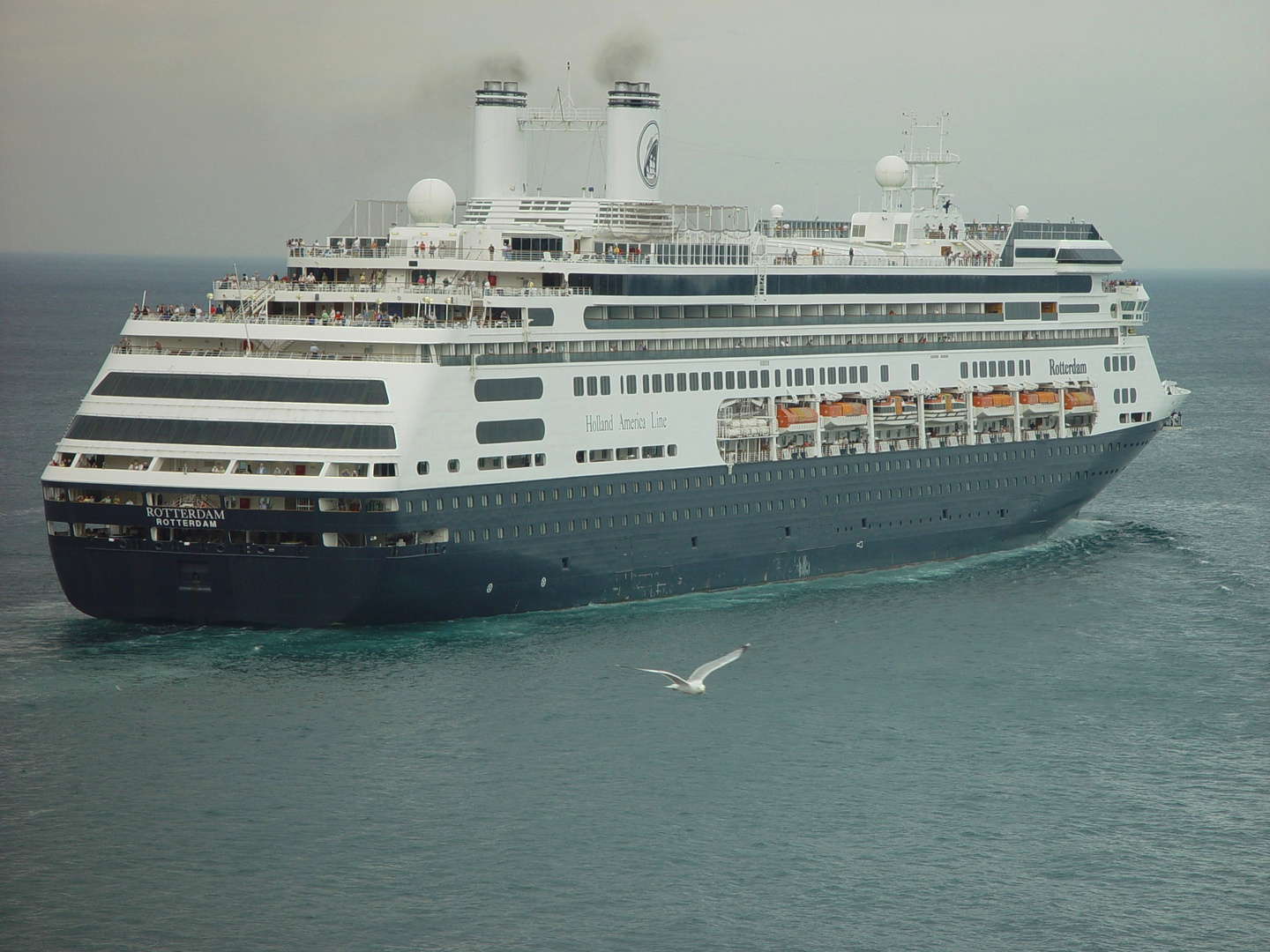 Cruise ship "Rotterdam"