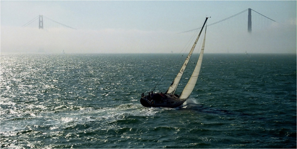 Cruisin' in the San Francisco Bay