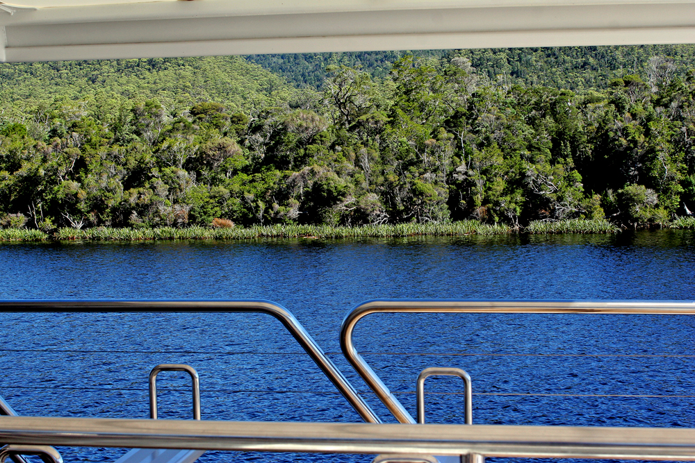 Cruising , Gordon River, Tasmania