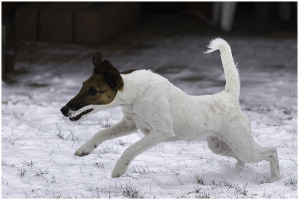 Crumble im Schnee