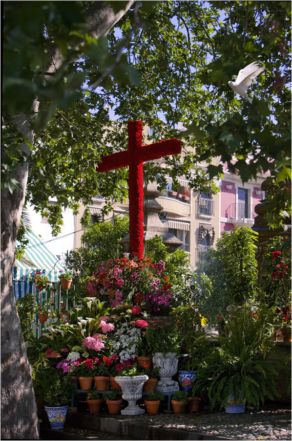 CRUZ DE MAYO