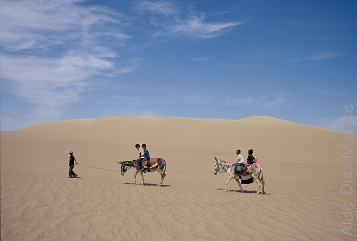 Cruzando el desierto