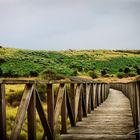 Cruzando las marismas