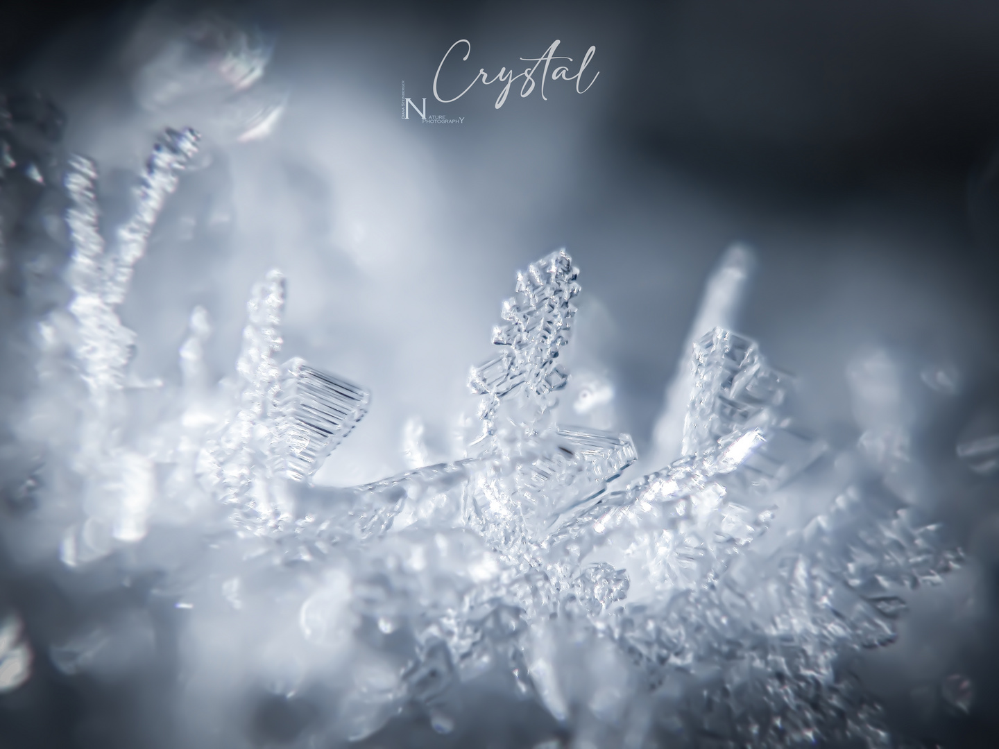 Crystal 