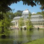 Crystal Palace Madrid