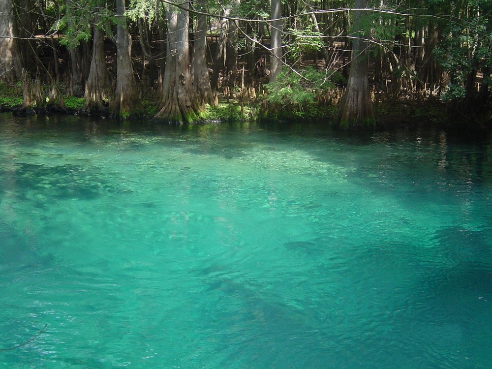 Crystal River, Florida