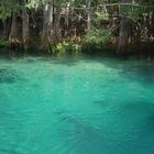 Crystal River, Florida