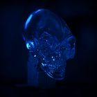 Crystal Skull