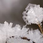 crYstallklar