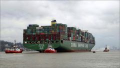 "CSCL GLOBE"