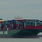 CSCL Indian Ocean auf der Elbe