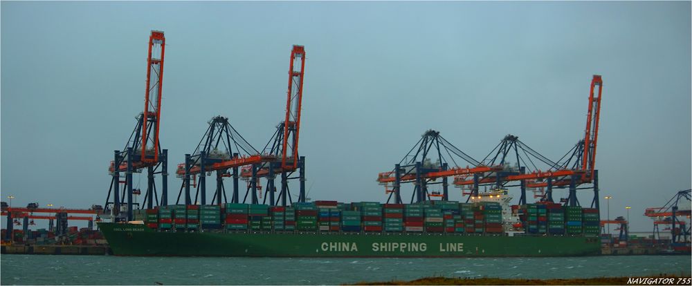 CSCL LONG BEACH / Container Vessel / Rotterdam