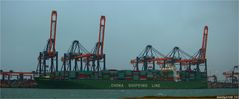 CSCL LONG BEACH / Container Vessel / Rotterdam