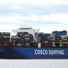 "CSCL MARS"