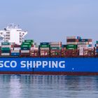 CSCL STAR